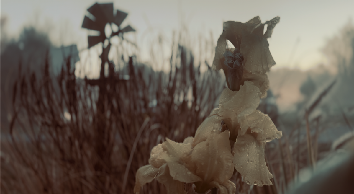 Garden Photography Workshop at 1 PM Eastern, Today!