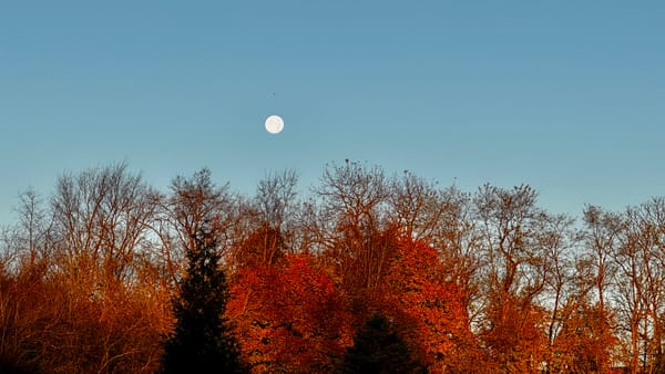 Learn to Use Your Tools (2025) Workshop Page